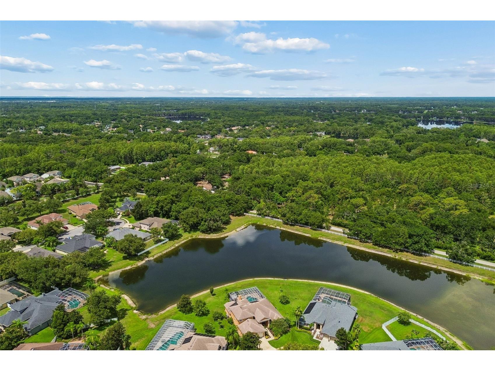 5303 Clouds Peak Drive Lutz FL 33558 TB8527363 image82