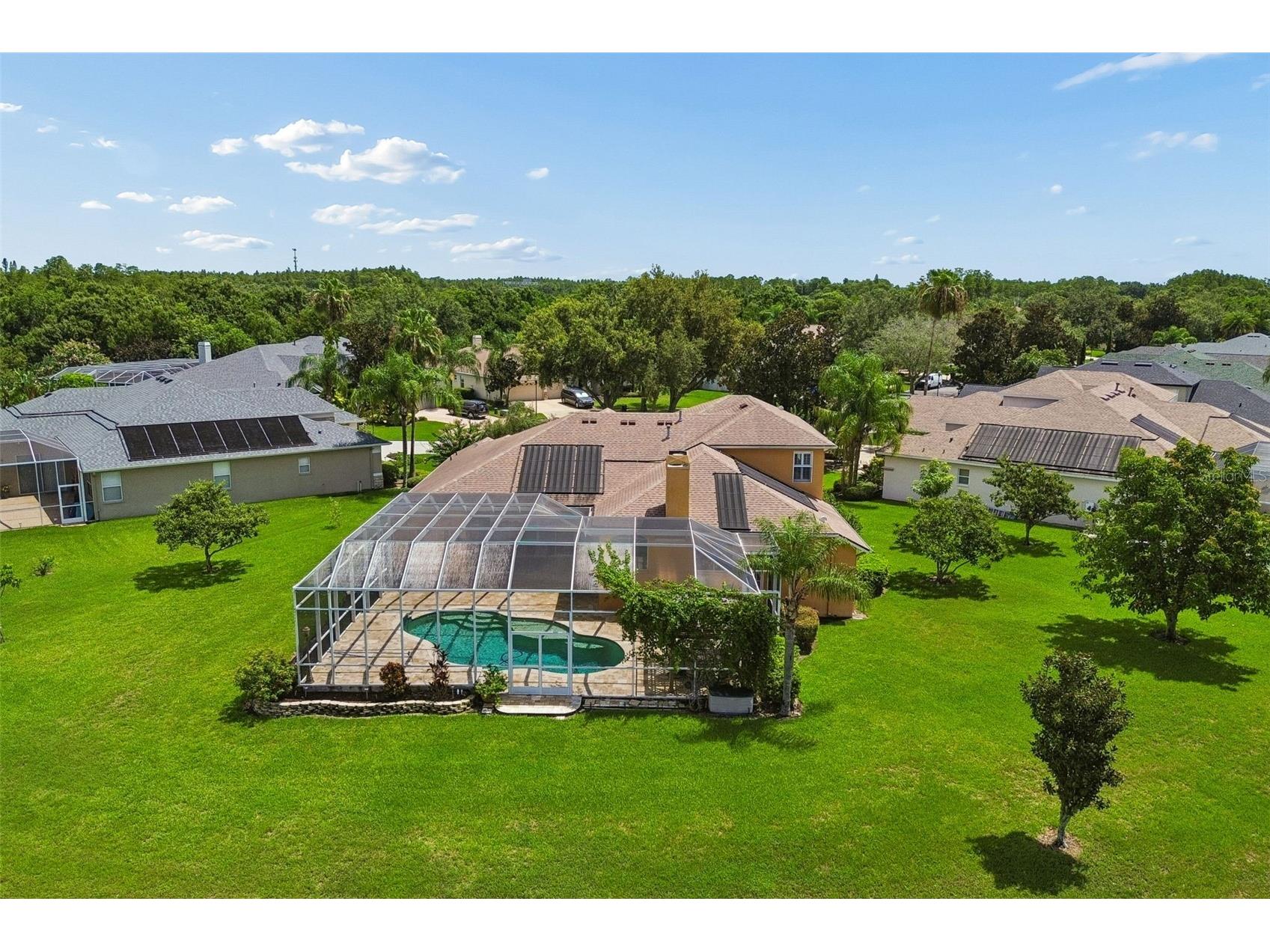 5303 Clouds Peak Drive Lutz FL 33558 TB8527363 image83