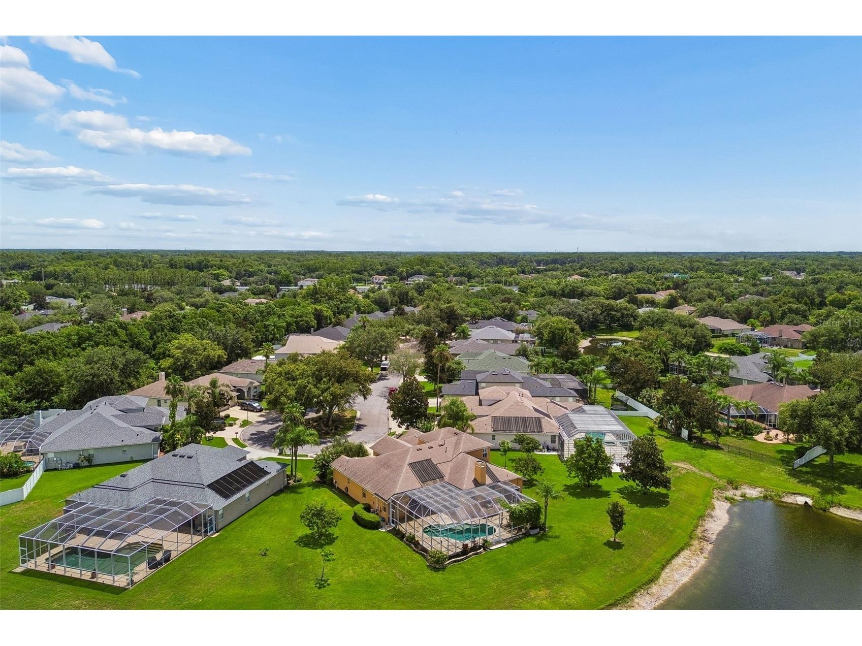 5303 Clouds Peak Drive Lutz FL 33558 TB8527363 image84