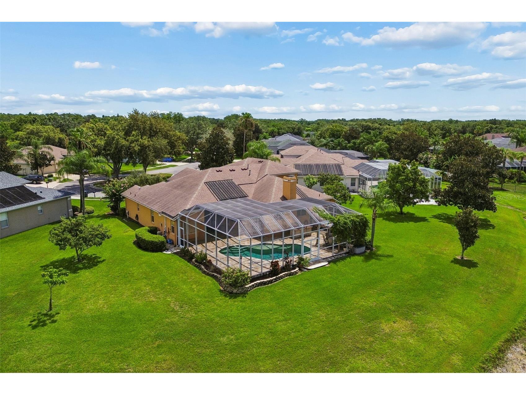5303 Clouds Peak Drive Lutz FL 33558 TB8527363 image85