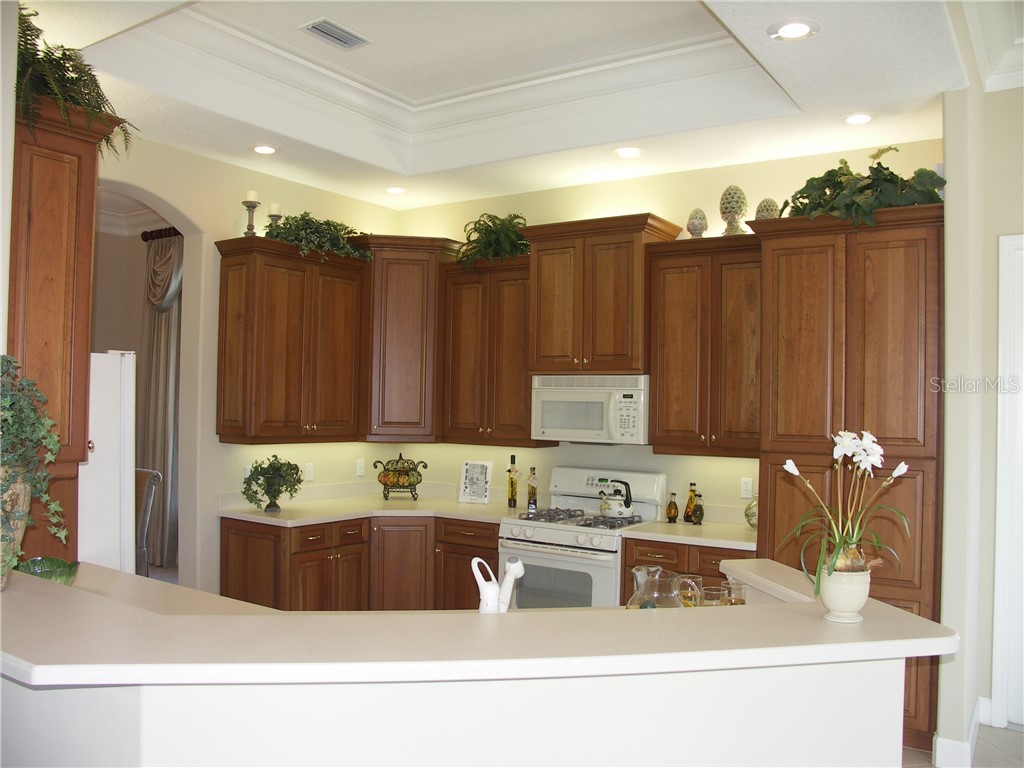 5303 E 97th Street Circle E #0 Bradenton FL 34211 A4692310 image10