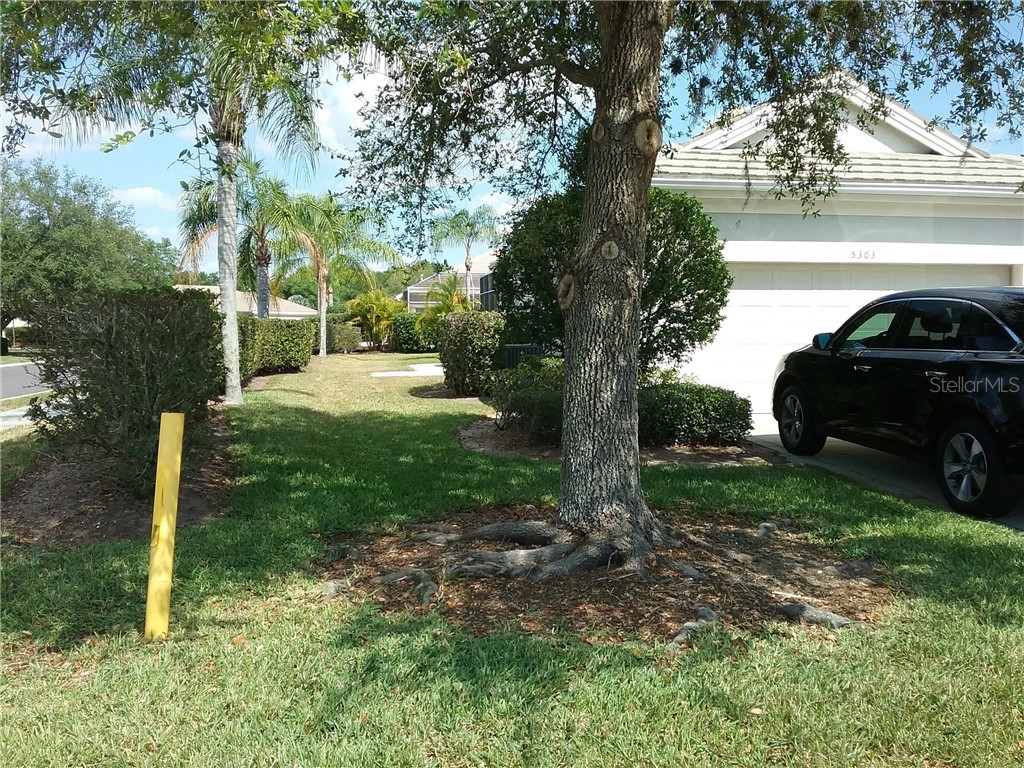 5303 E 97th Street Circle E #0 Bradenton FL 34211 A4692310 image2