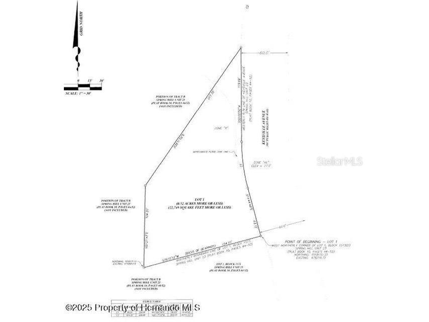 5303 Keysville Avenue Spring Hill FL 34608 W7873437 image1