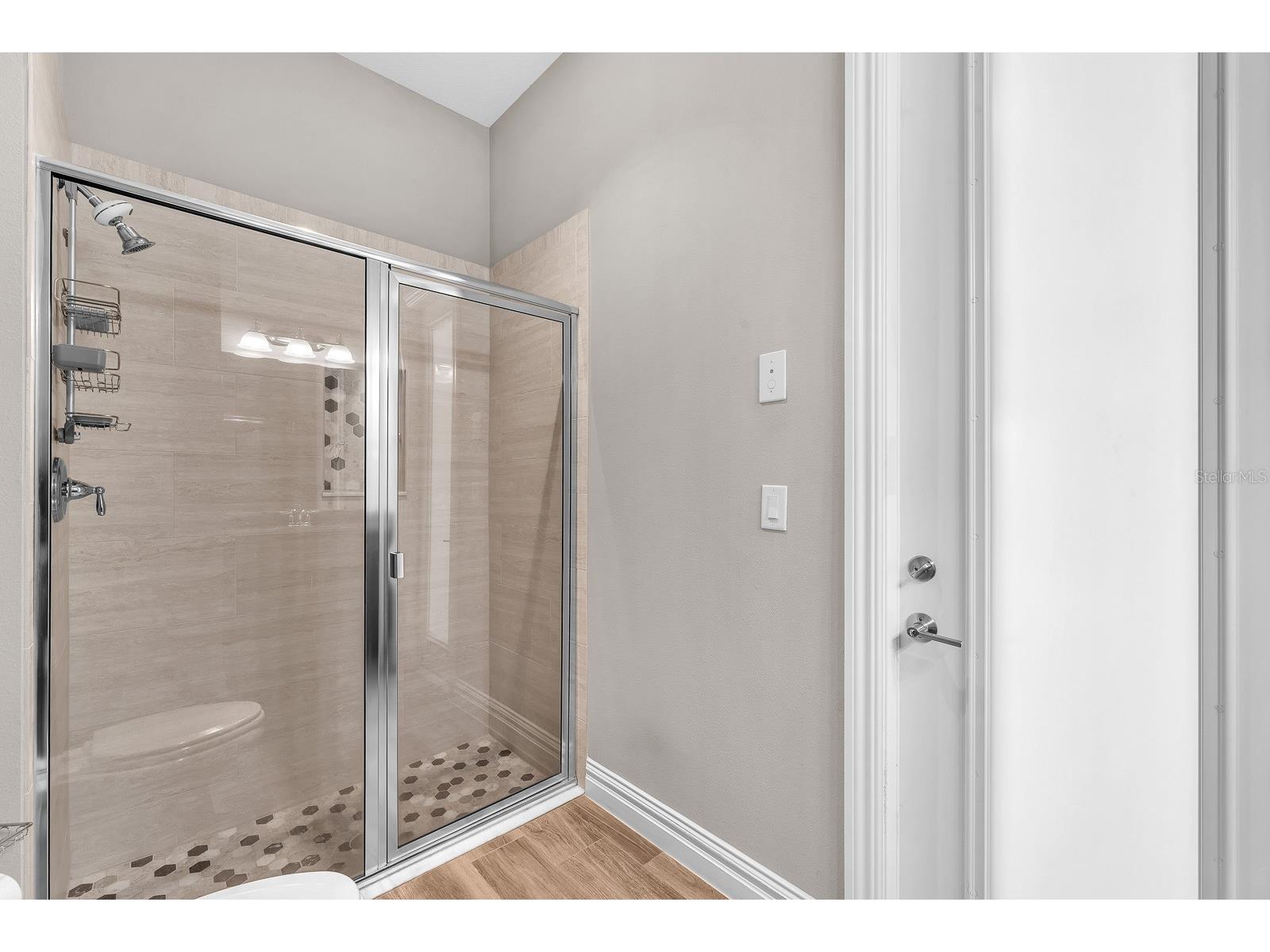 5303 Osprey Ridge Drive Lithia FL 33547 TB8468963 image35