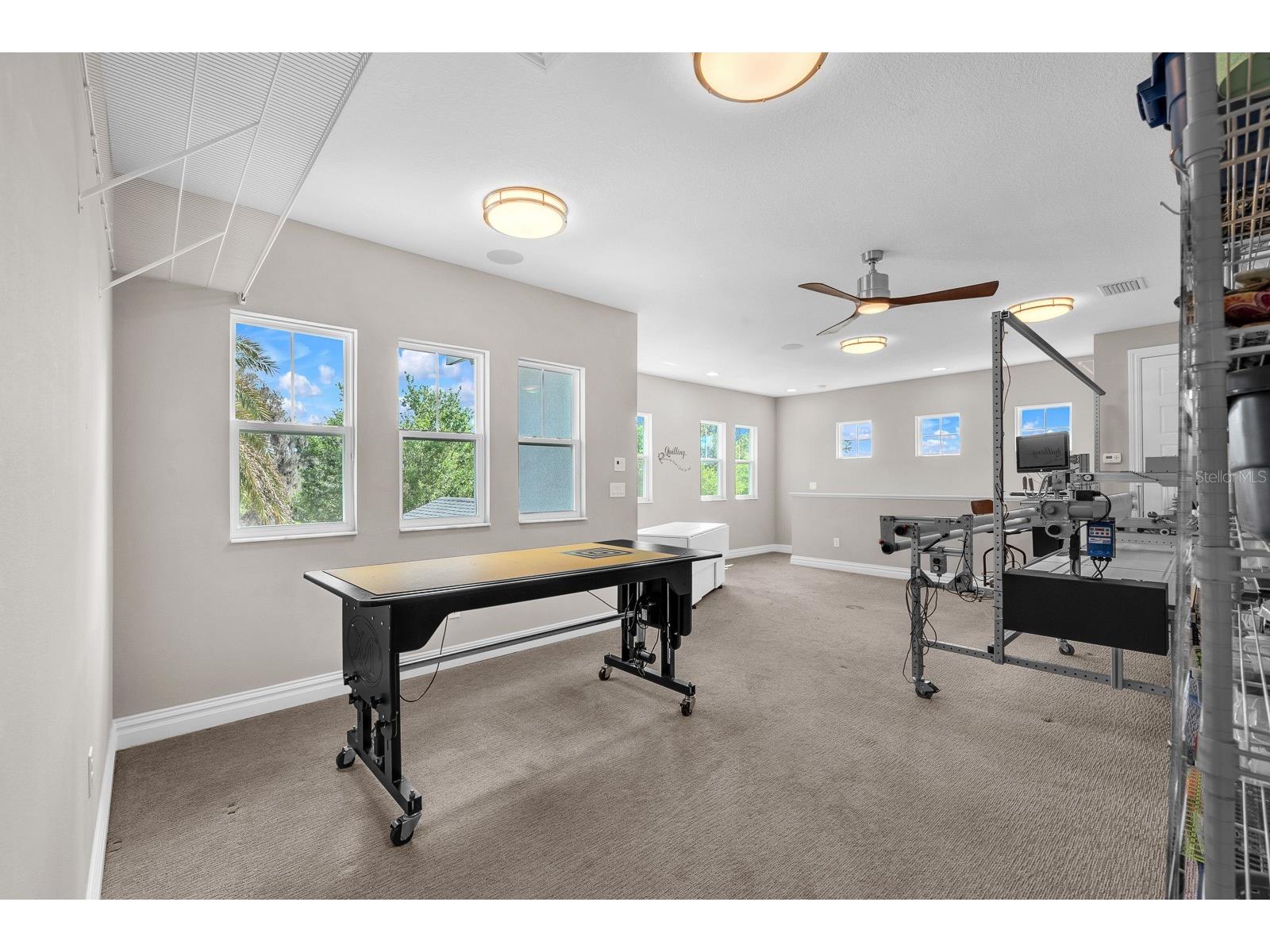 5303 Osprey Ridge Drive Lithia FL 33547 TB8468963 image40