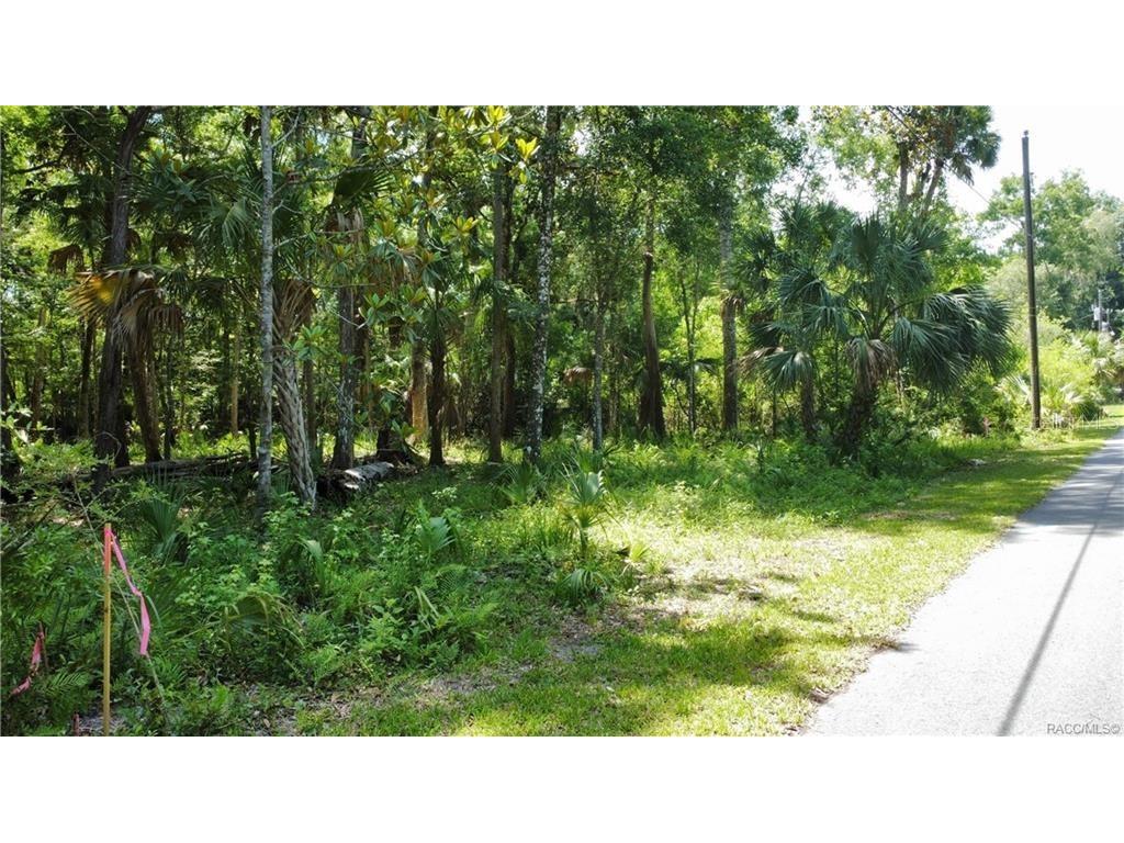 5303 S Parkland Terrace Homosassa FL 34448 TB8335583 image2