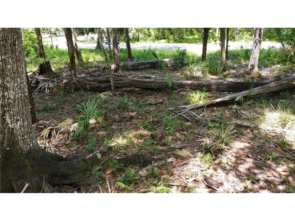 5303 S Parkland Terrace Homosassa FL 34448 TB8335583 image26