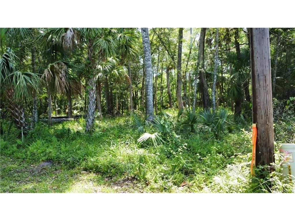5303 S Parkland Terrace Homosassa FL 34448 TB8335583 image27