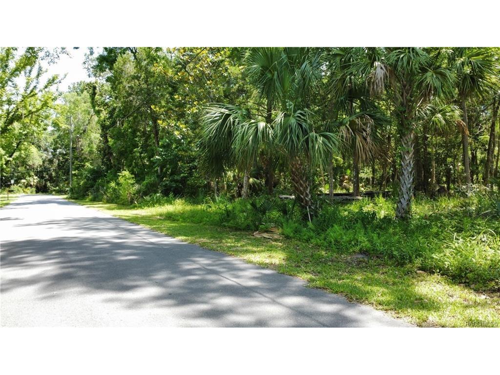 5303 S Parkland Terrace Homosassa FL 34448 TB8335583 image3