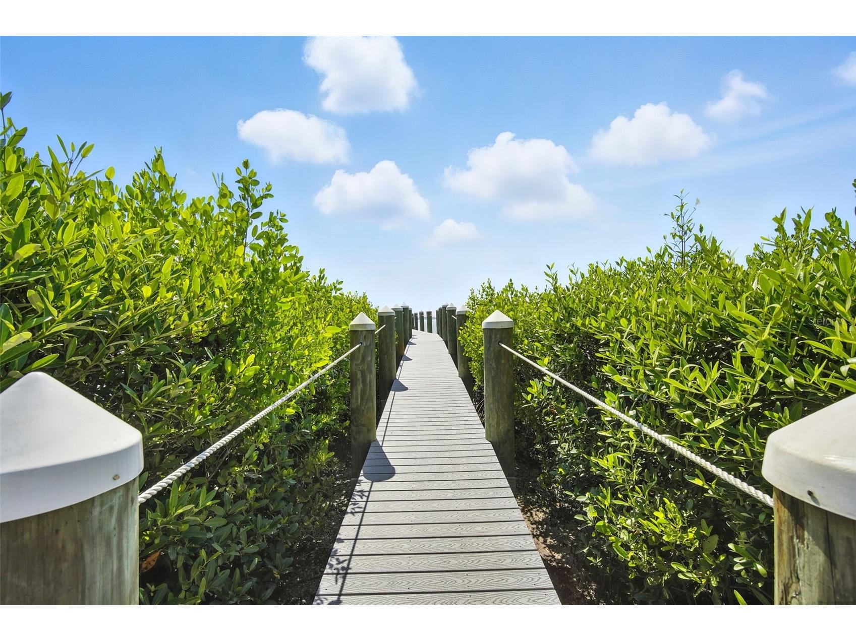 5304 Bay Club Circle Tampa FL 33607 TB8486550 image29