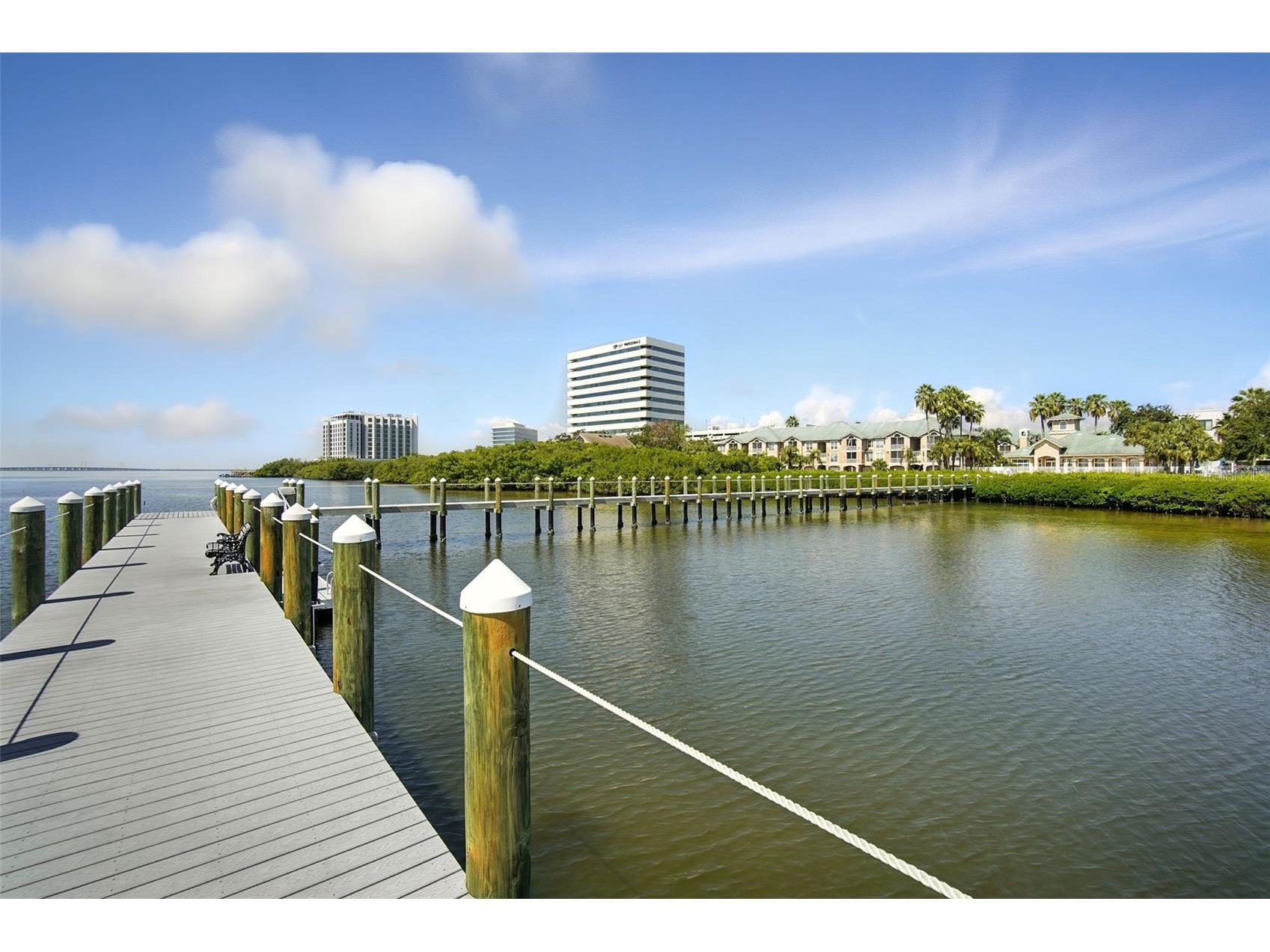 5304 Bay Club Circle Tampa FL 33607 TB8486550 image31