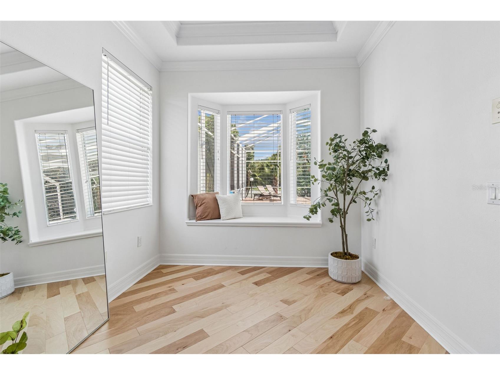 5304 Clouds Peak Drive Lutz FL 33558 TB8528051 image34
