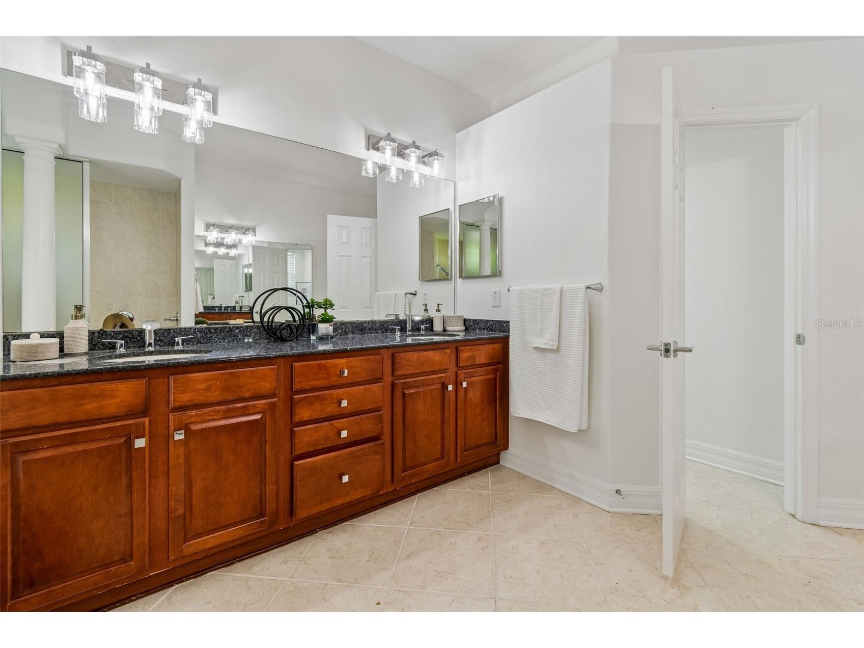 5304 Clouds Peak Drive Lutz FL 33558 TB8528051 image42