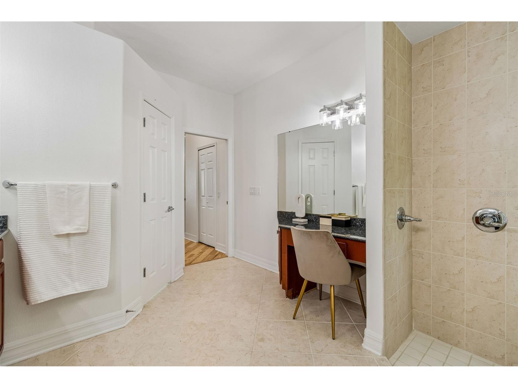 5304 Clouds Peak Drive Lutz FL 33558 TB8528051 image43
