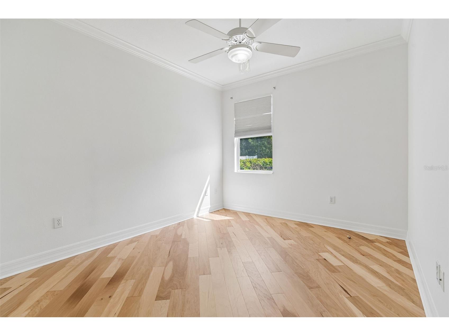 5304 Clouds Peak Drive Lutz FL 33558 TB8528051 image58