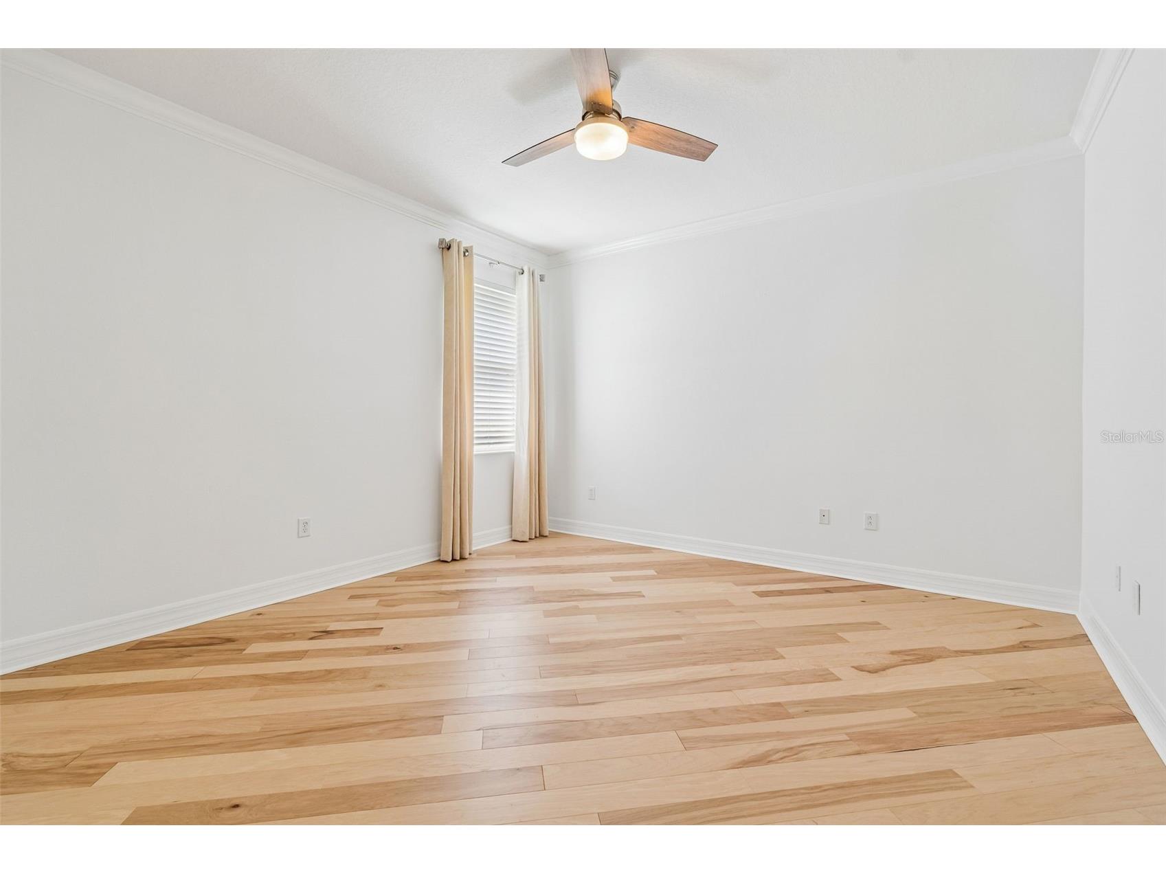 5304 Clouds Peak Drive Lutz FL 33558 TB8528051 image62