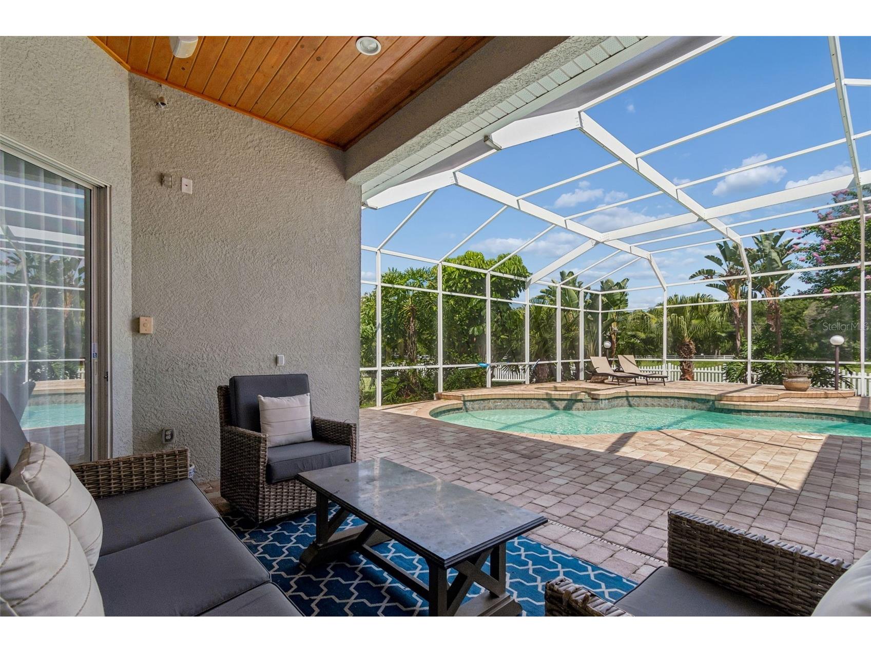 5304 Clouds Peak Drive Lutz FL 33558 TB8528051 image65