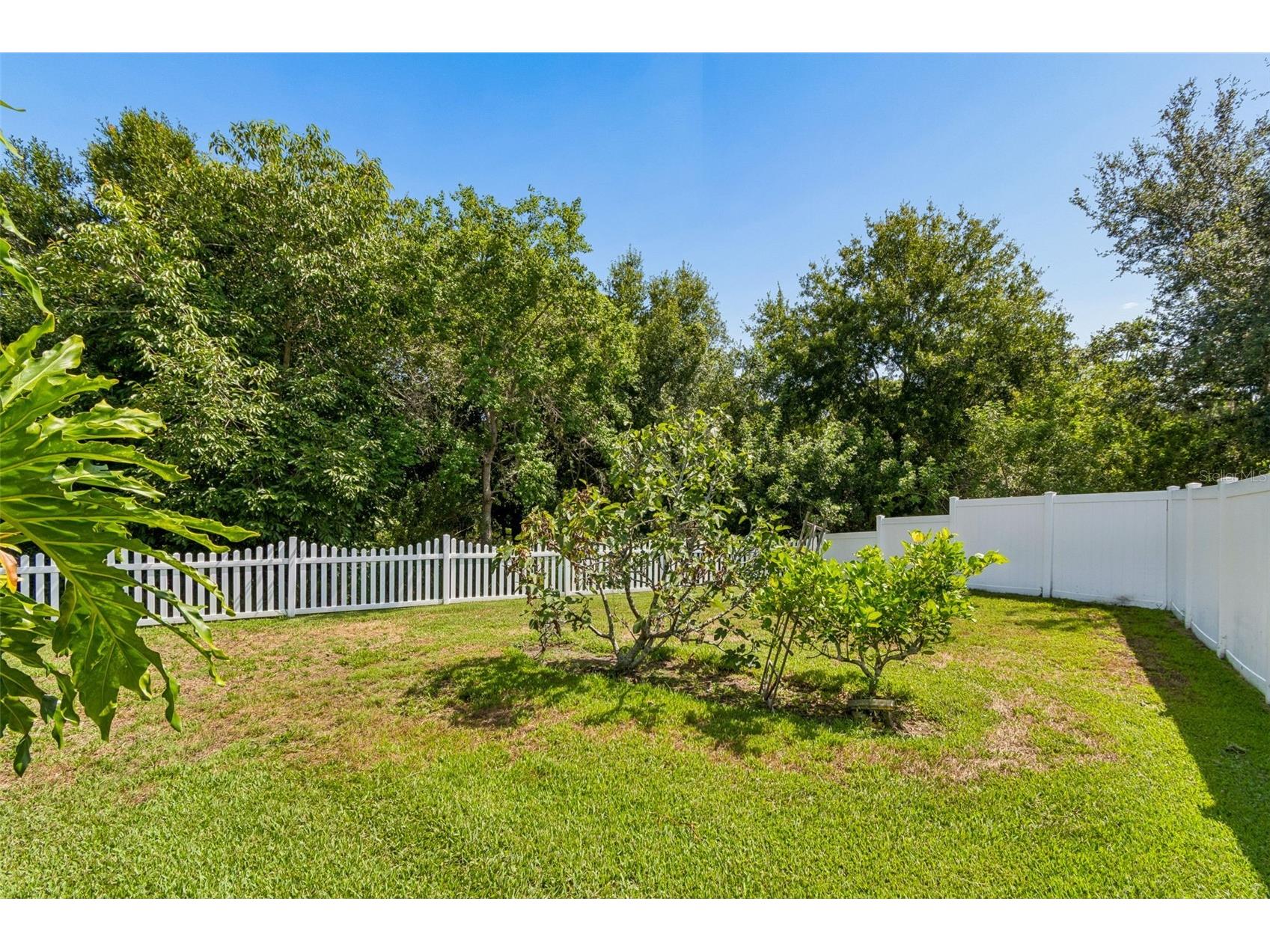 5304 Clouds Peak Drive Lutz FL 33558 TB8528051 image78