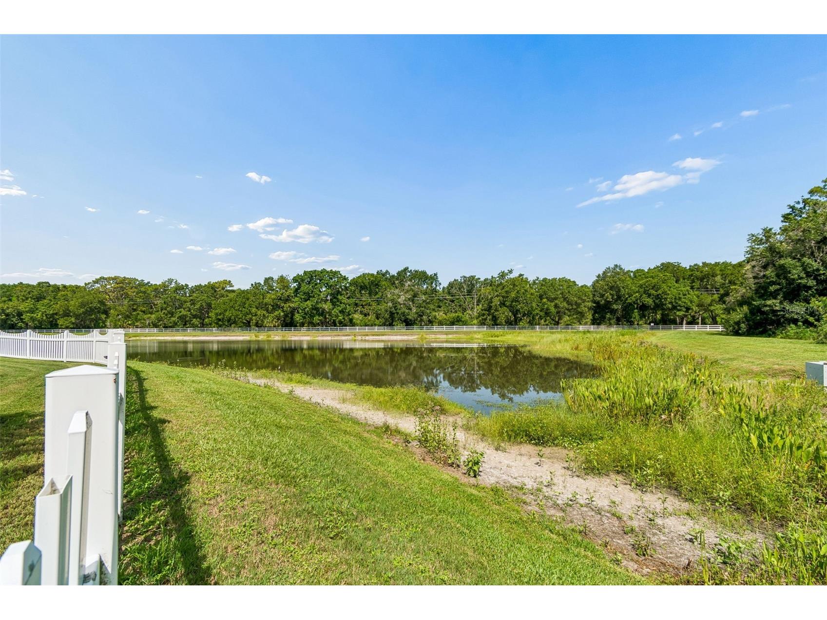5304 Clouds Peak Drive Lutz FL 33558 TB8528051 image81