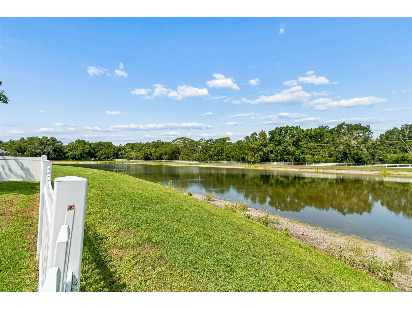 5304 Clouds Peak Drive Lutz FL 33558 TB8528051 image82