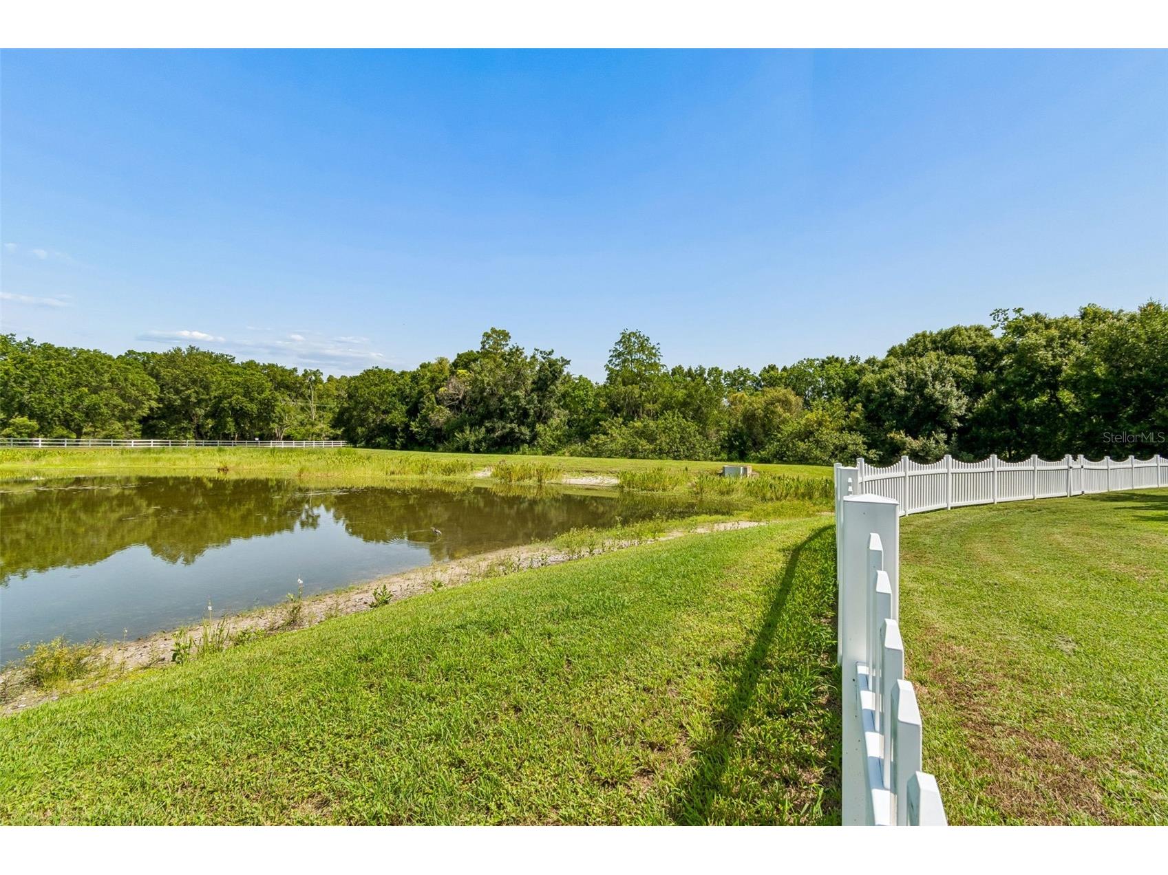 5304 Clouds Peak Drive Lutz FL 33558 TB8528051 image83