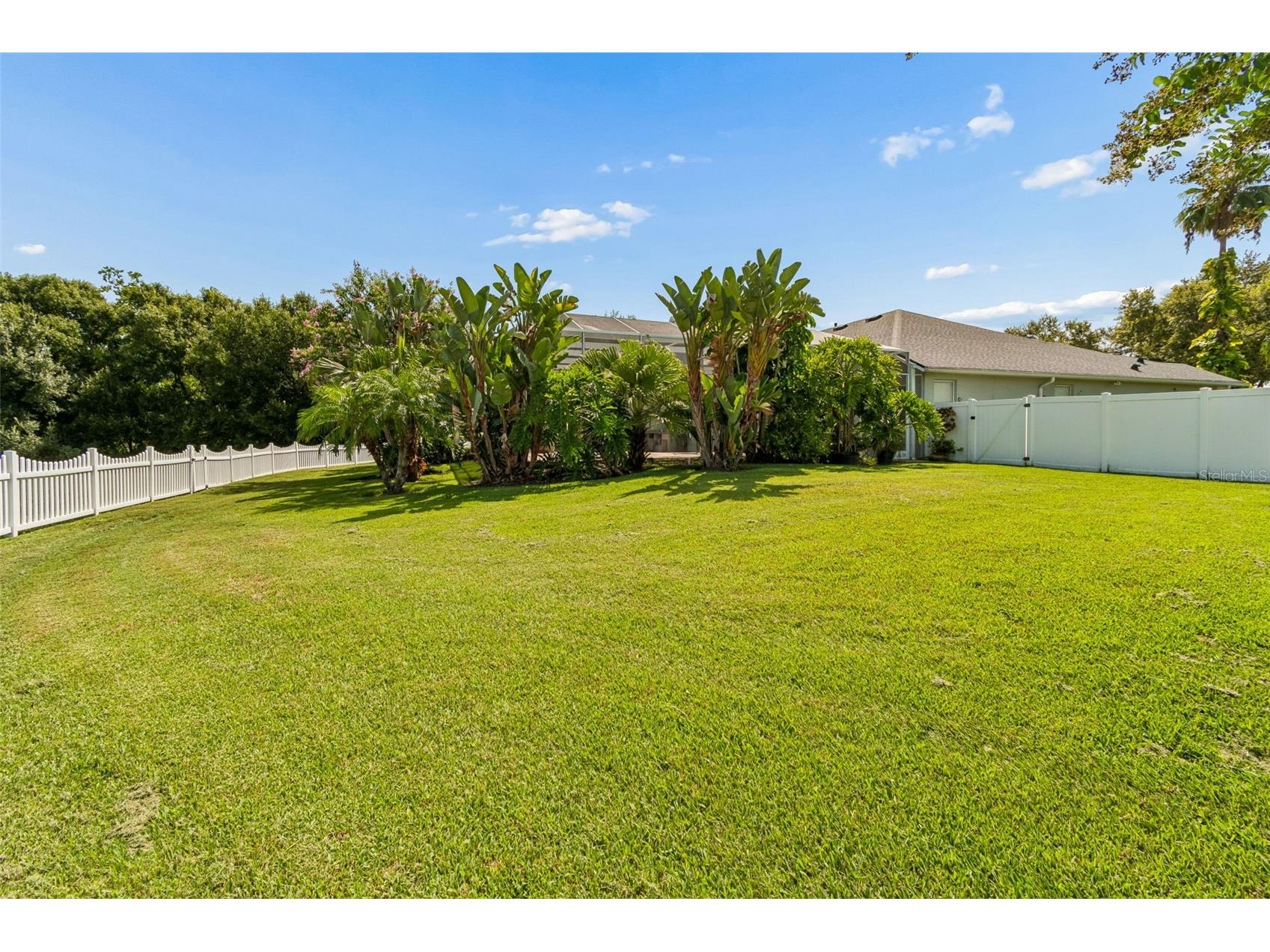 5304 Clouds Peak Drive Lutz FL 33558 TB8528051 image84