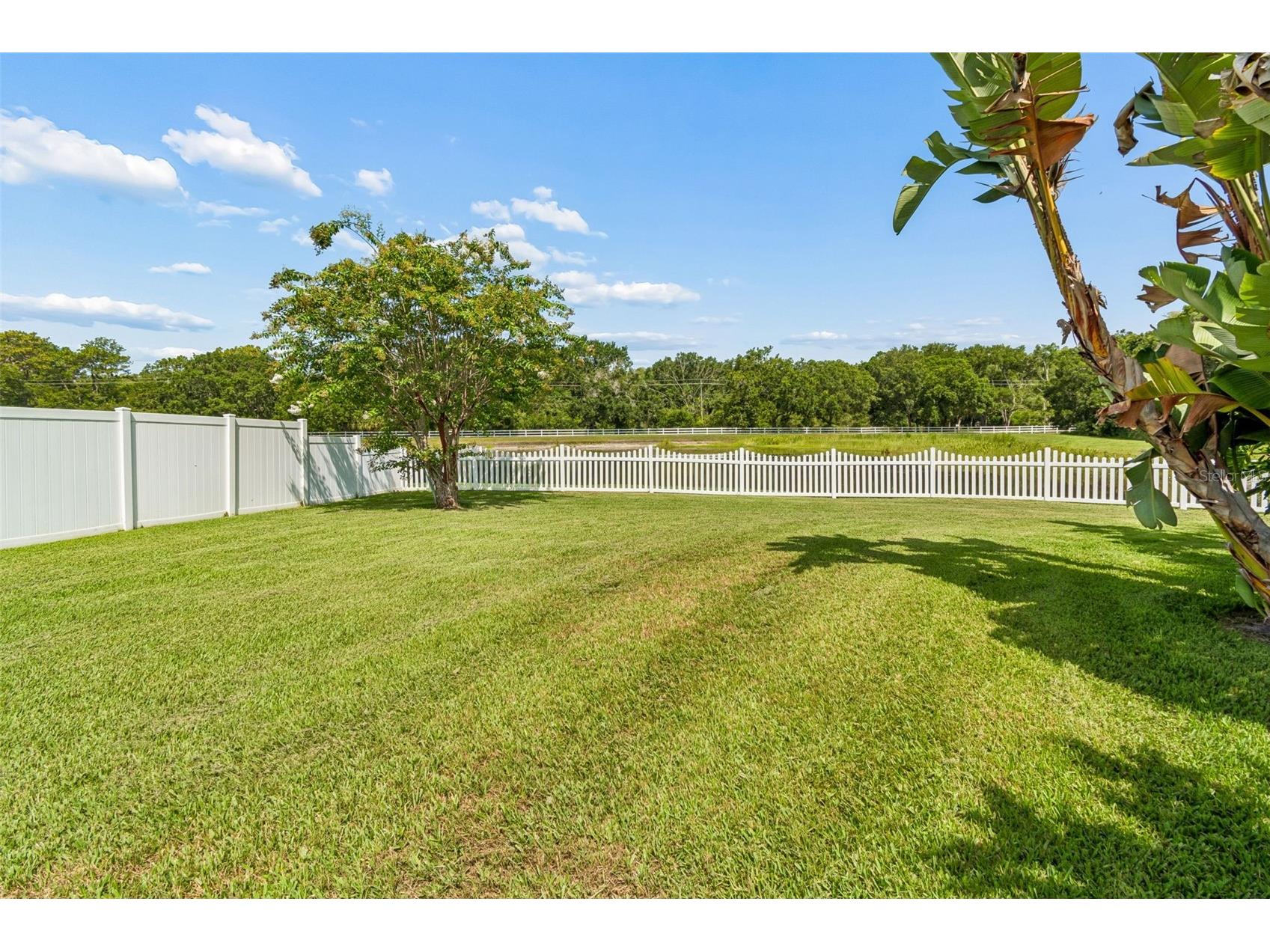 5304 Clouds Peak Drive Lutz FL 33558 TB8528051 image85