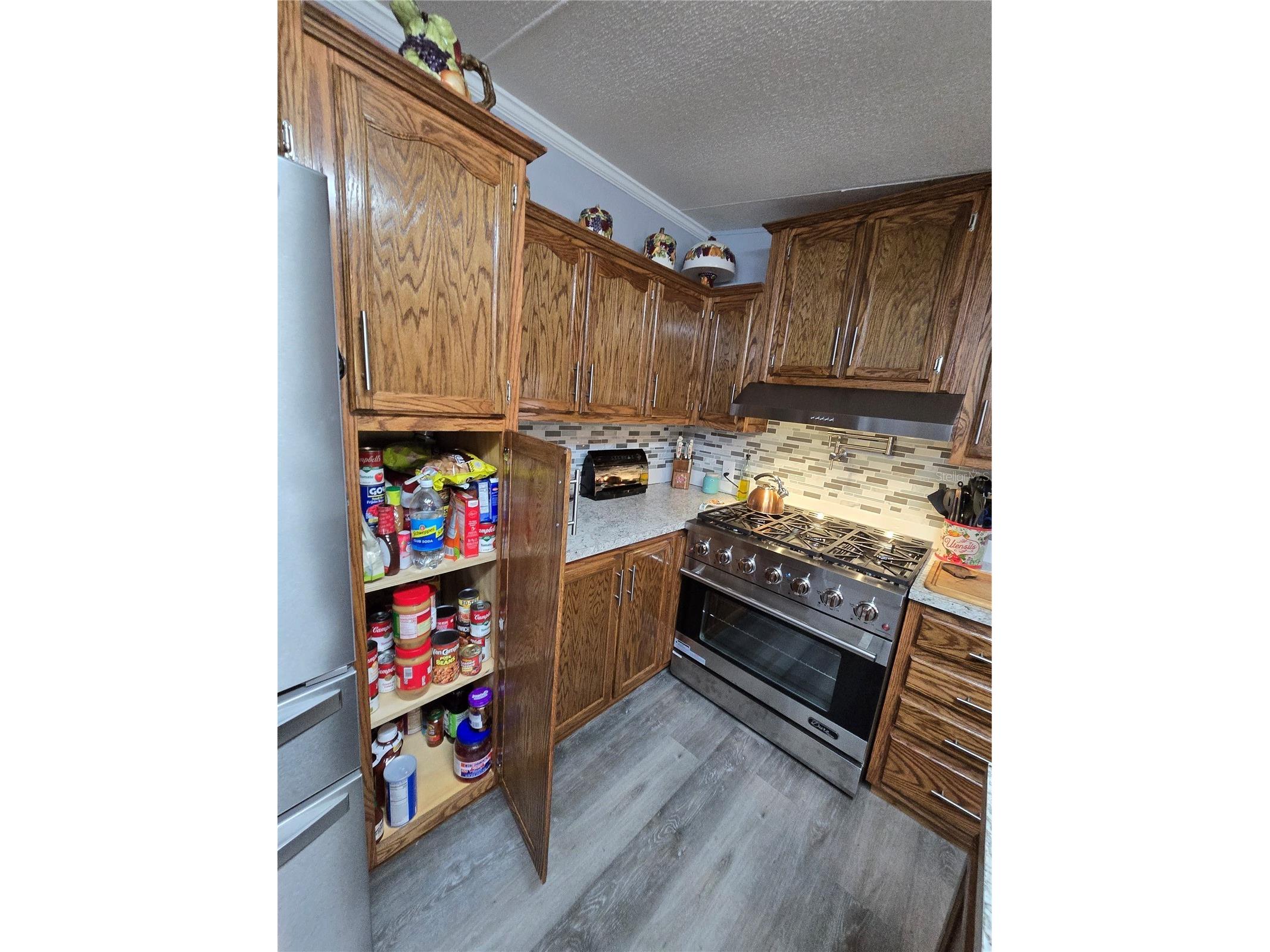 5304 Fairmont Road Lake Wales FL 33898 - LAKE PIERCE P4938050 image19