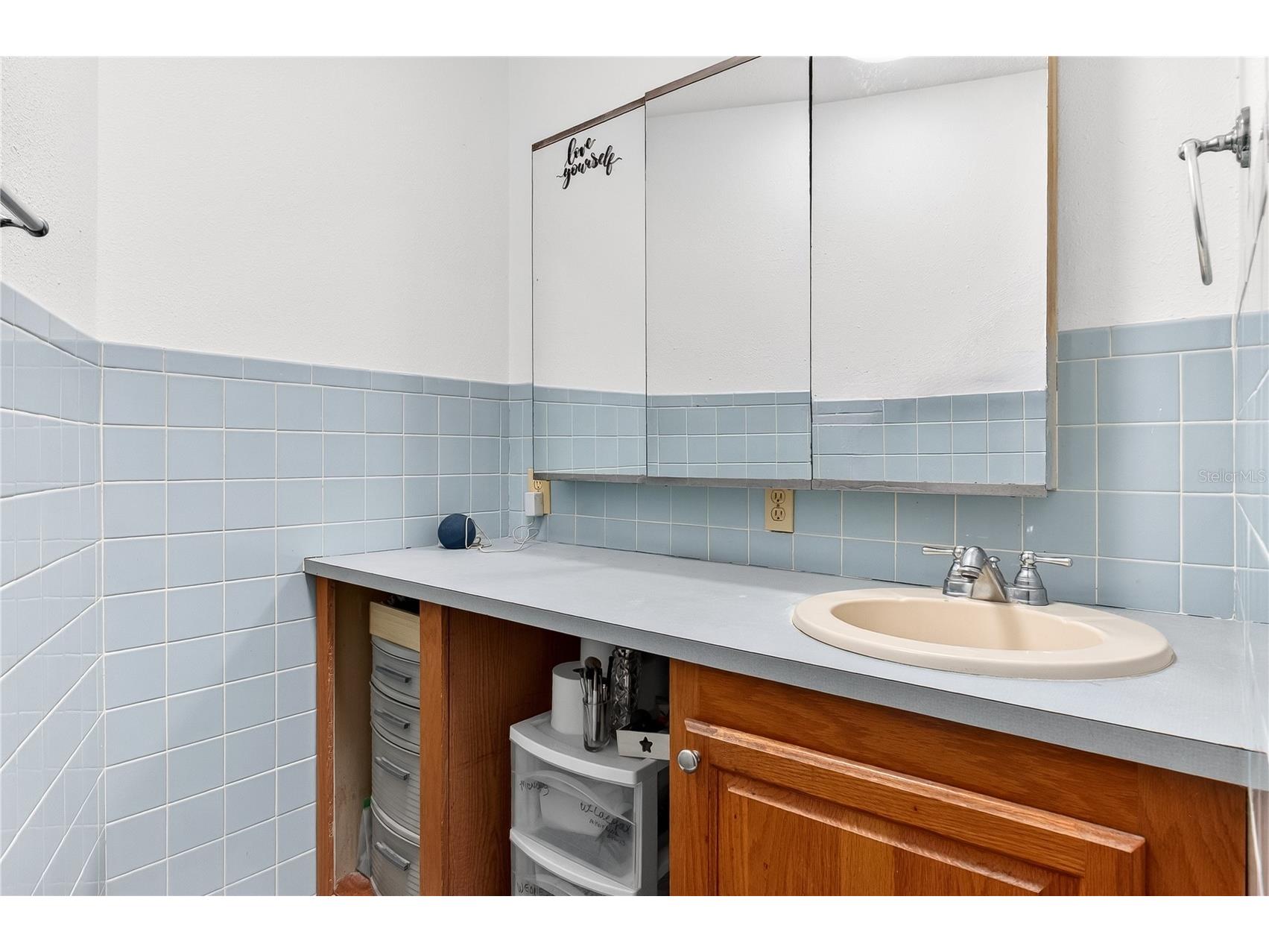 5304 Tillman Road Lakeland FL 33810 L4961890 image19