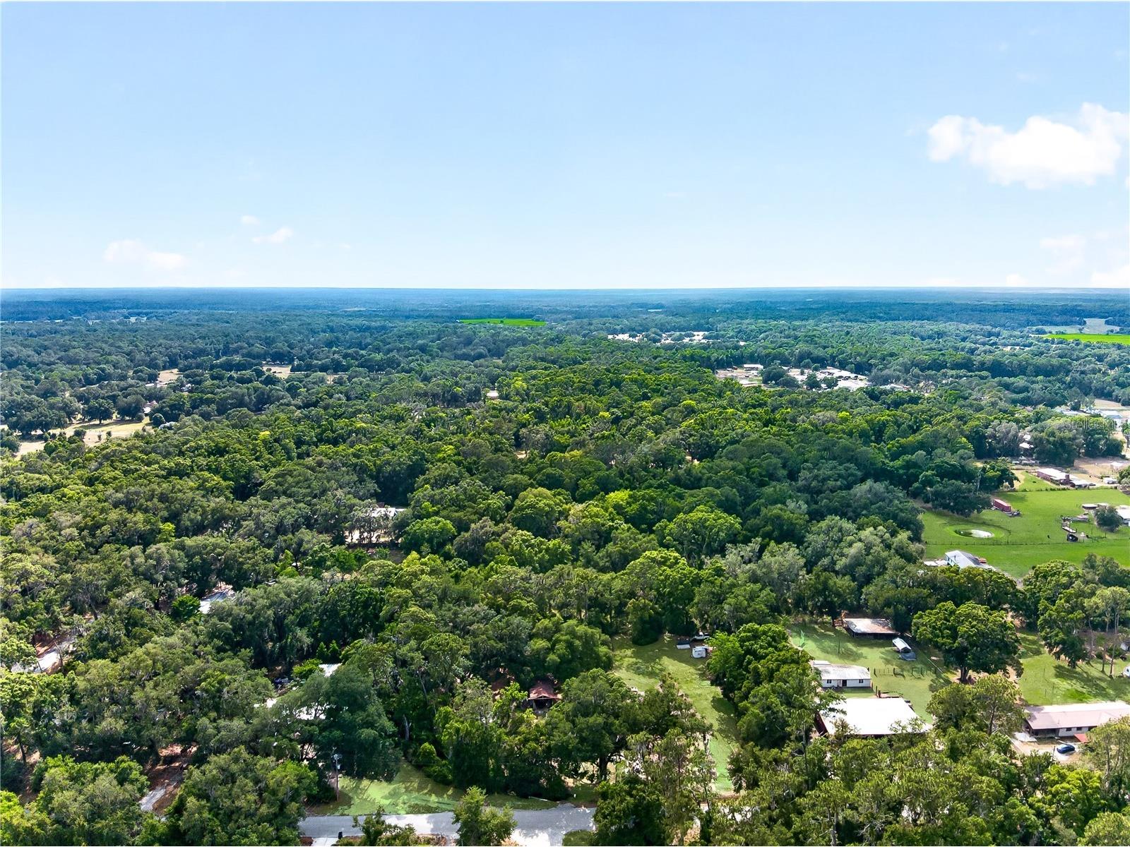 5304 Tillman Road Lakeland FL 33810 L4961890 image30