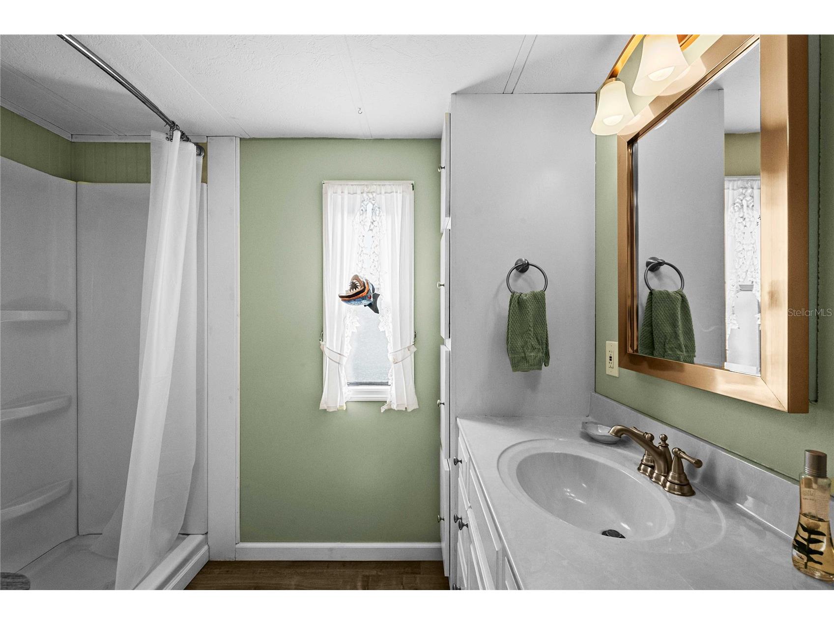 5305 Antigua Drive Zephyrhills FL 33541 TB8469937 image18