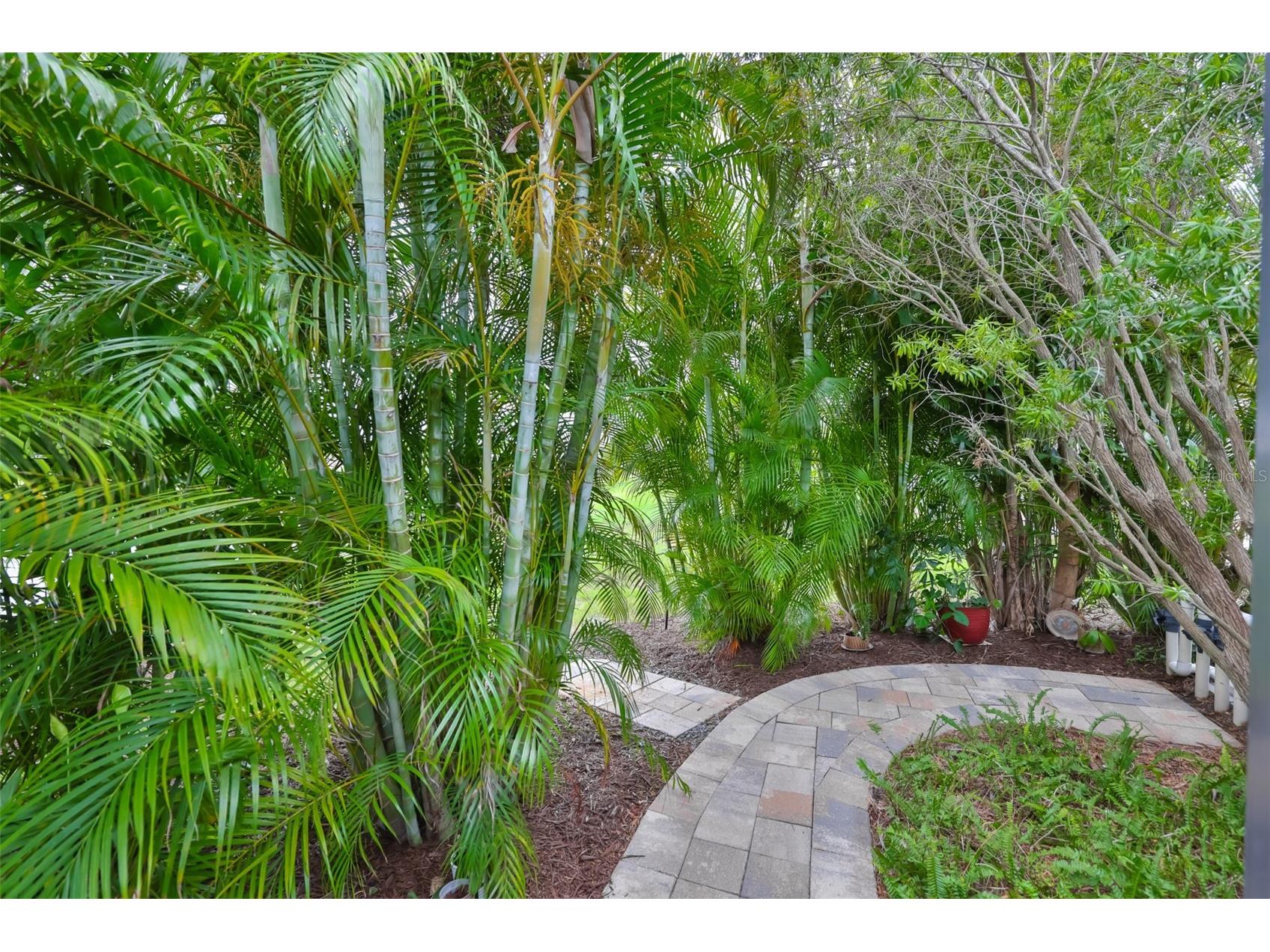 5305 Moon Shell Drive Apollo Beach FL 33572 TB8515170 image42
