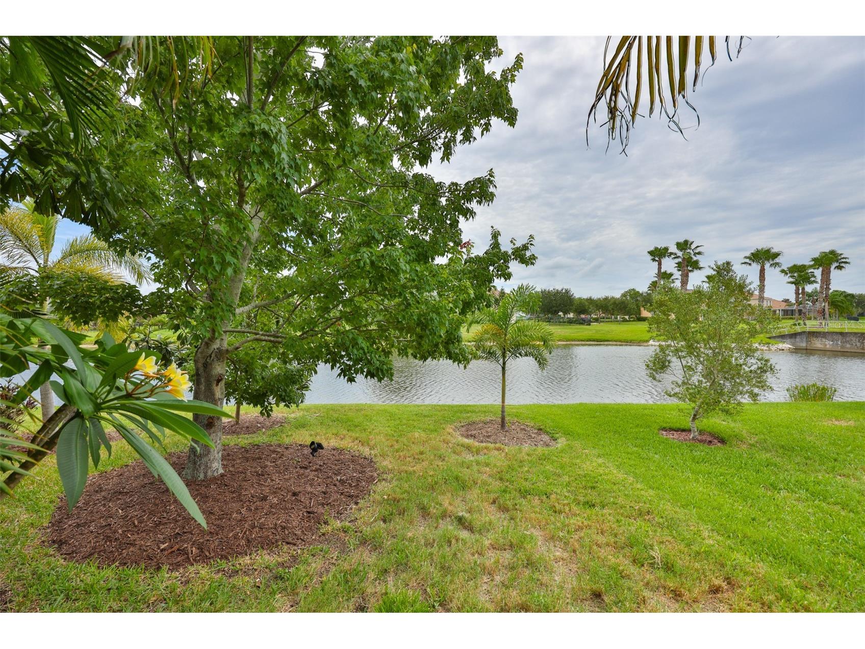 5305 Moon Shell Drive Apollo Beach FL 33572 TB8515170 image44
