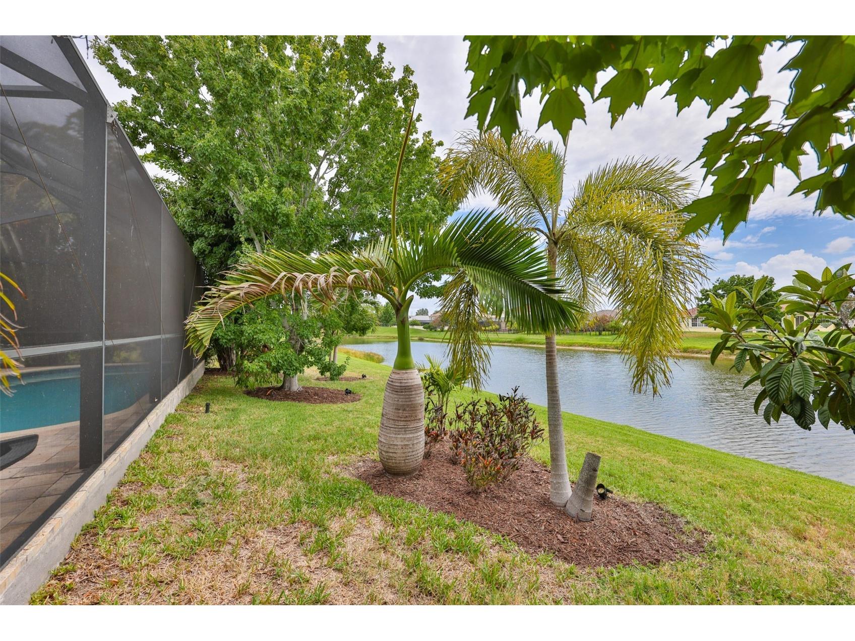 5305 Moon Shell Drive Apollo Beach FL 33572 TB8515170 image45