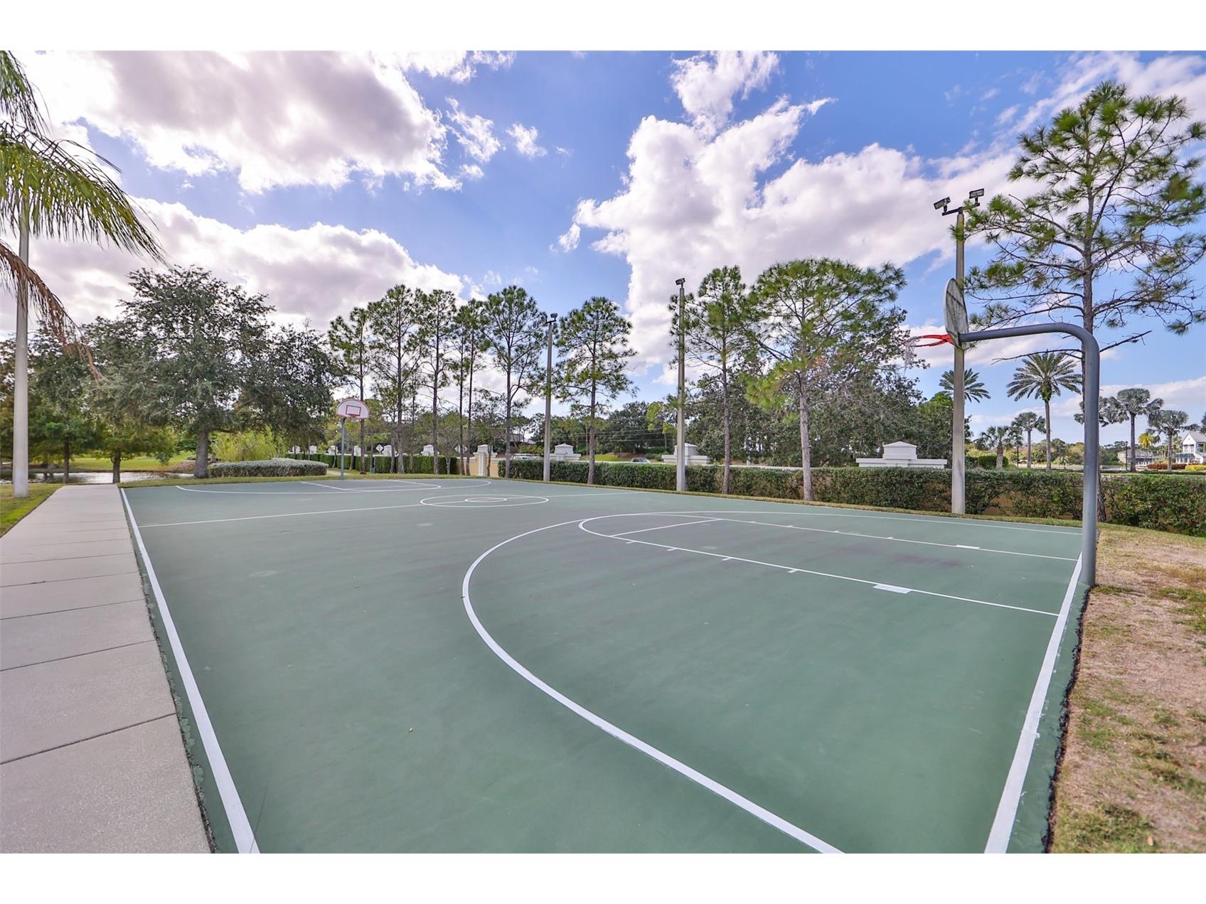 5305 Moon Shell Drive Apollo Beach FL 33572 TB8515170 image53