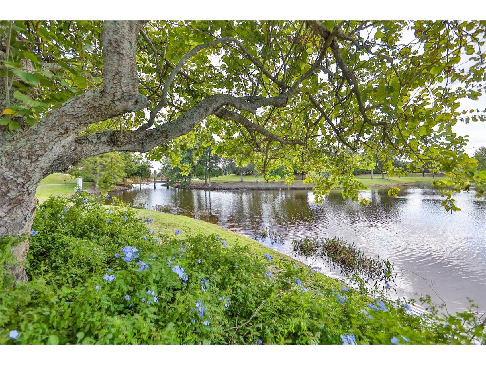 5305 Moon Shell Drive Apollo Beach FL 33572 TB8515170 image64
