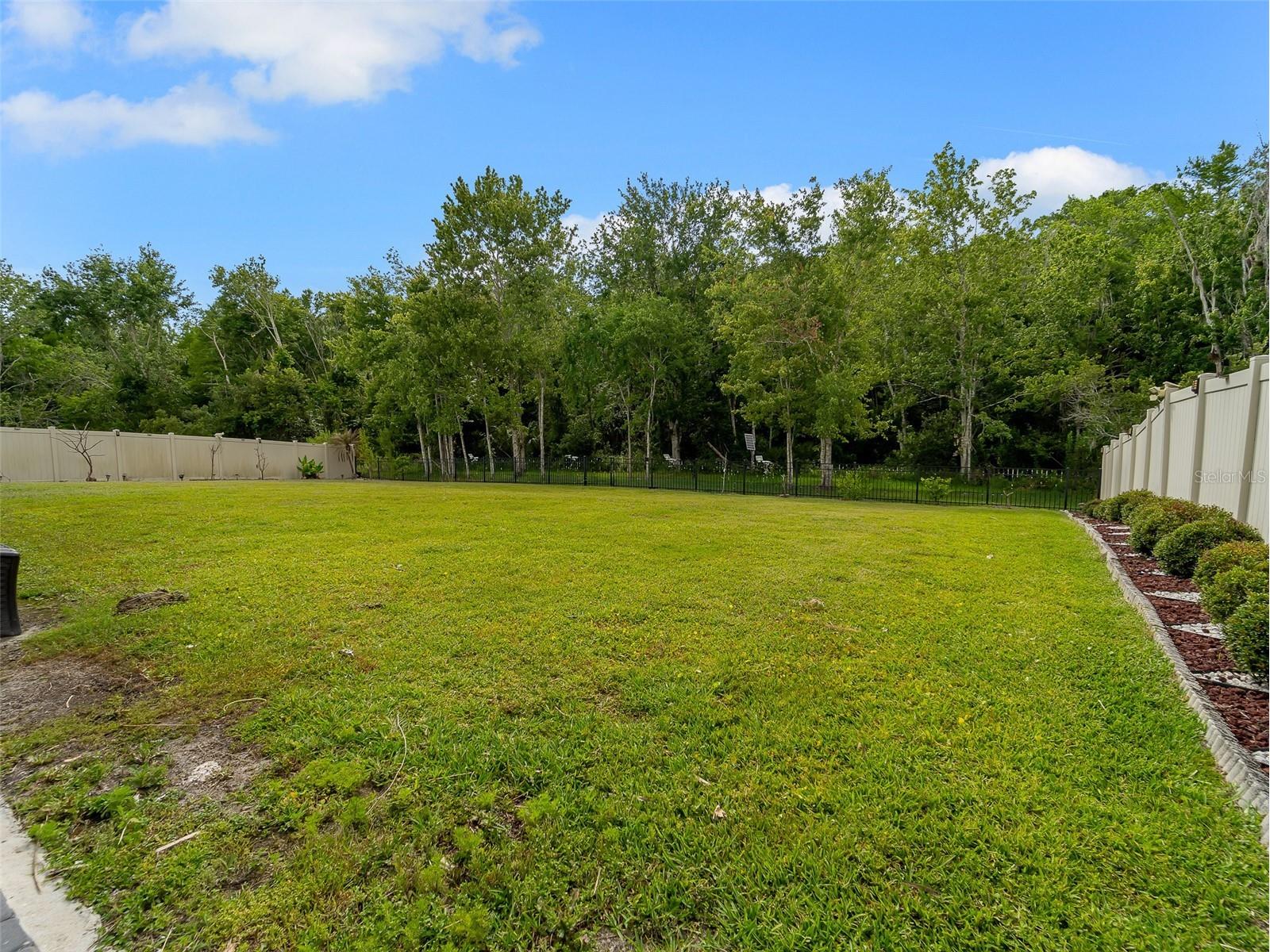 5306 Coral Vine Lane Kissimmee FL 34758 O6405097 image56