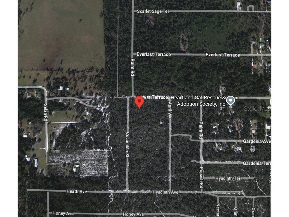 5306 Cucumber Street Sebring FL 33875 A4693586 image2