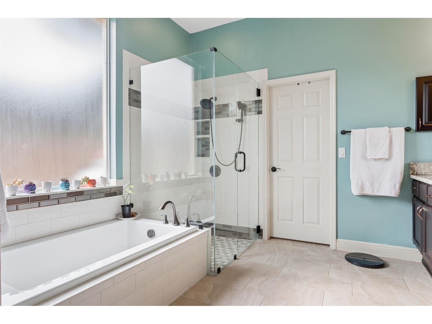 5306 Reflections Boulevard Lutz FL 33558 TB8507872 image34
