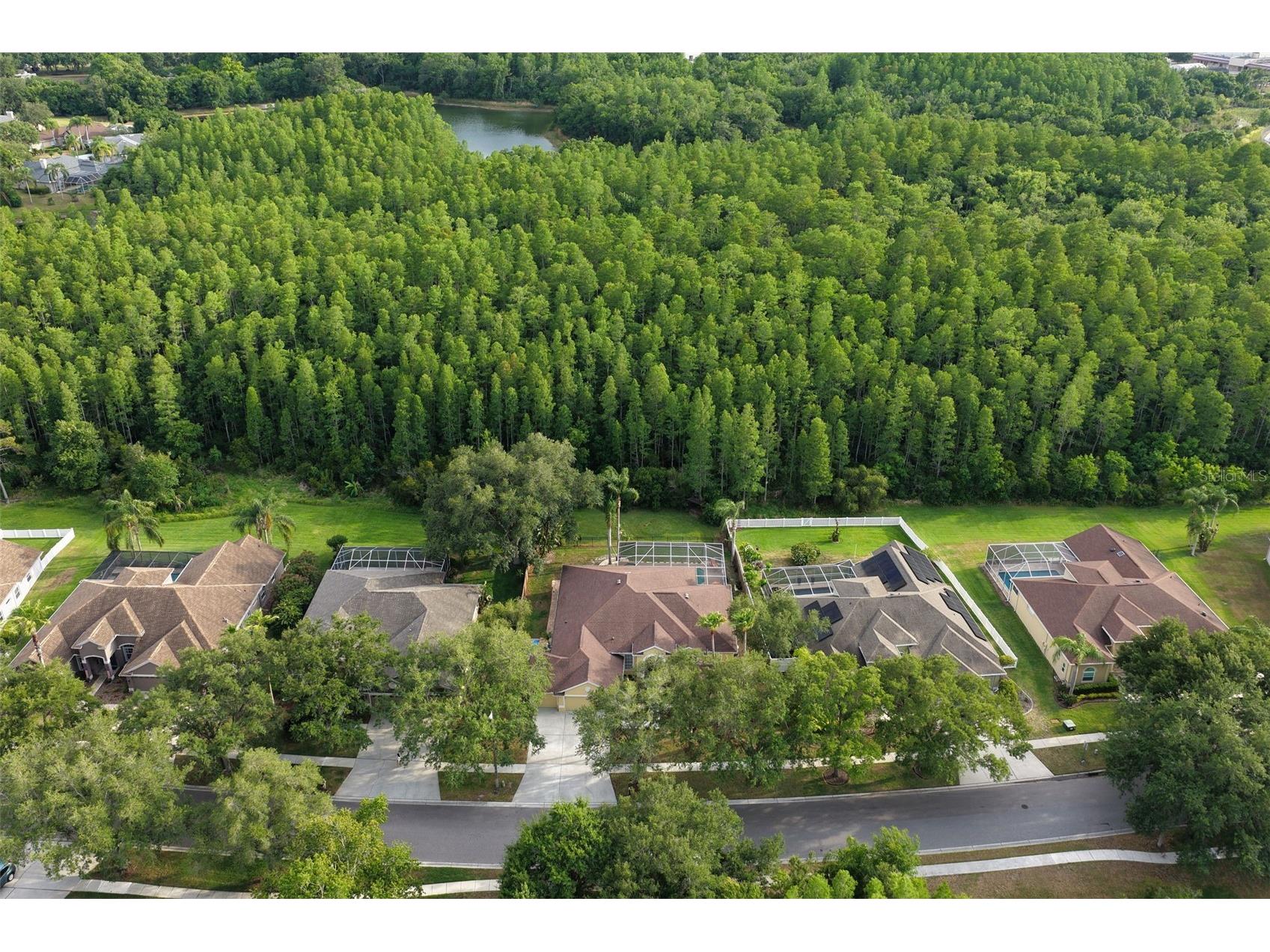 5306 Reflections Boulevard Lutz FL 33558 TB8507872 image52