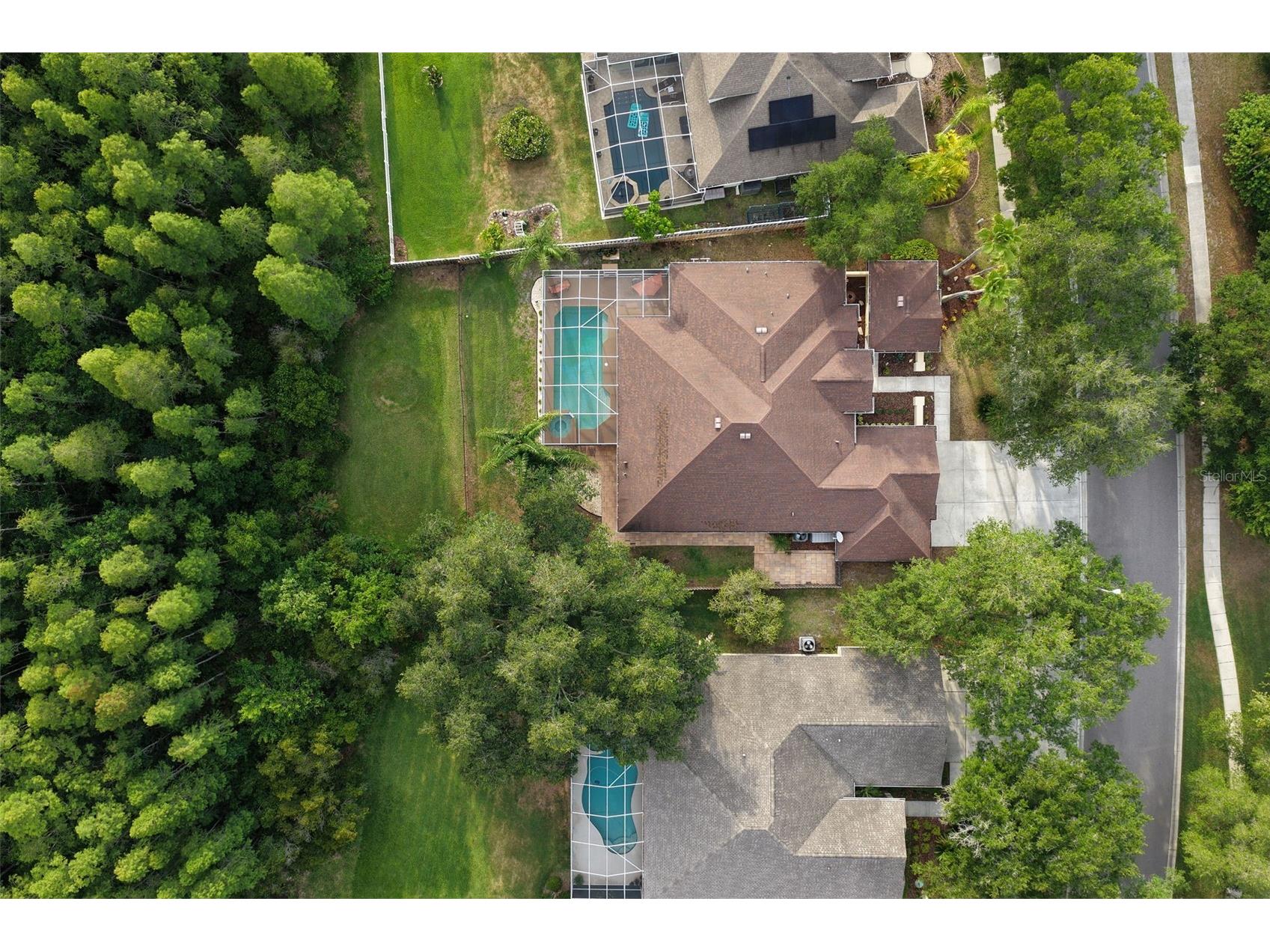 5306 Reflections Boulevard Lutz FL 33558 TB8507872 image53
