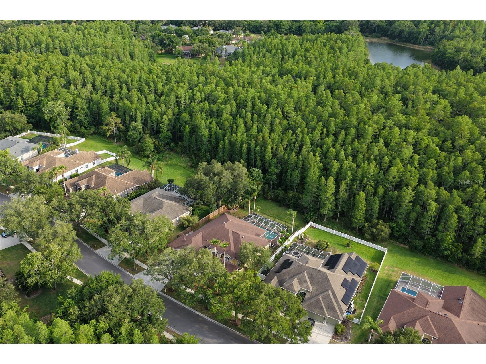 5306 Reflections Boulevard Lutz FL 33558 TB8507872 image54