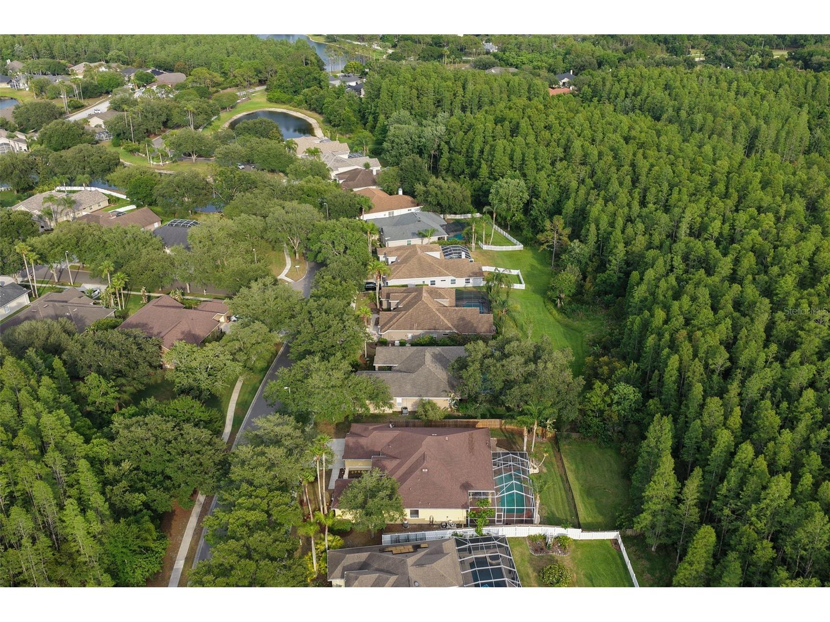 5306 Reflections Boulevard Lutz FL 33558 TB8507872 image55