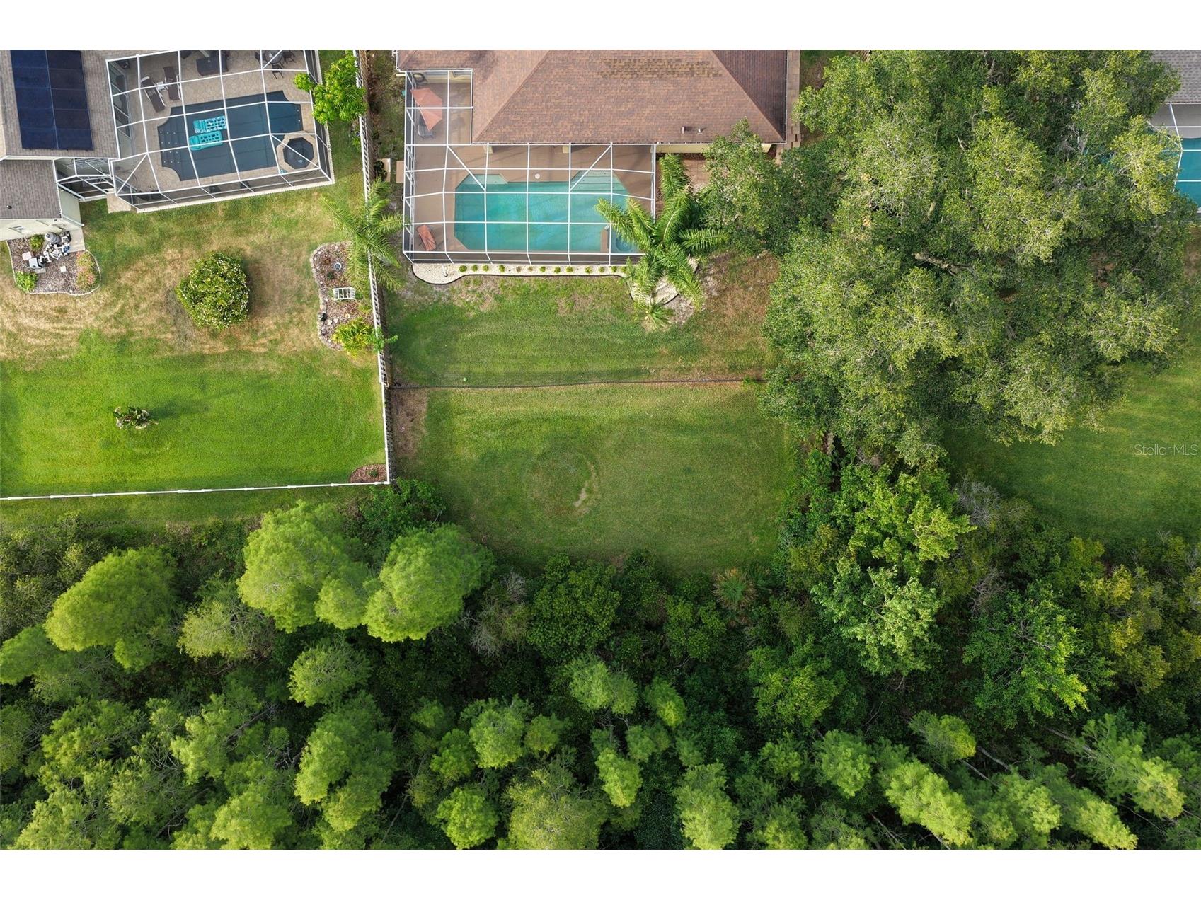 5306 Reflections Boulevard Lutz FL 33558 TB8507872 image56