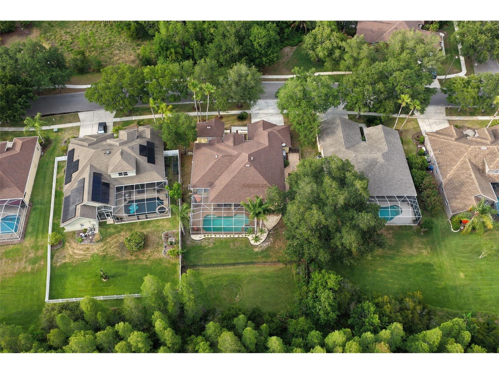5306 Reflections Boulevard Lutz FL 33558 TB8507872 image57