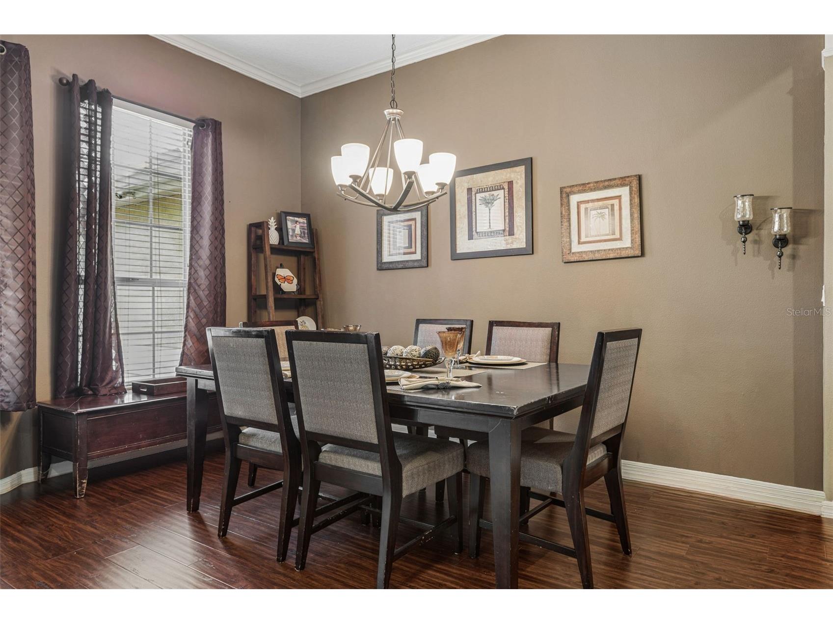 5306 Reflections Boulevard Lutz FL 33558 TB8507872 image8