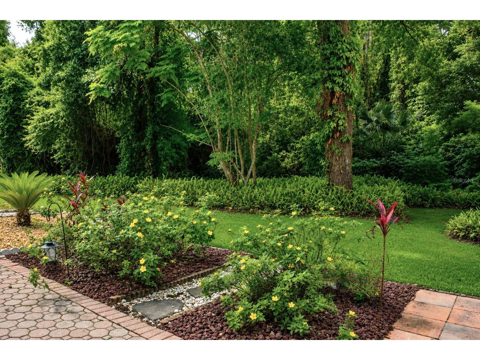 5306 Ridgewell Court Tampa FL 33624 TB8478311 image22