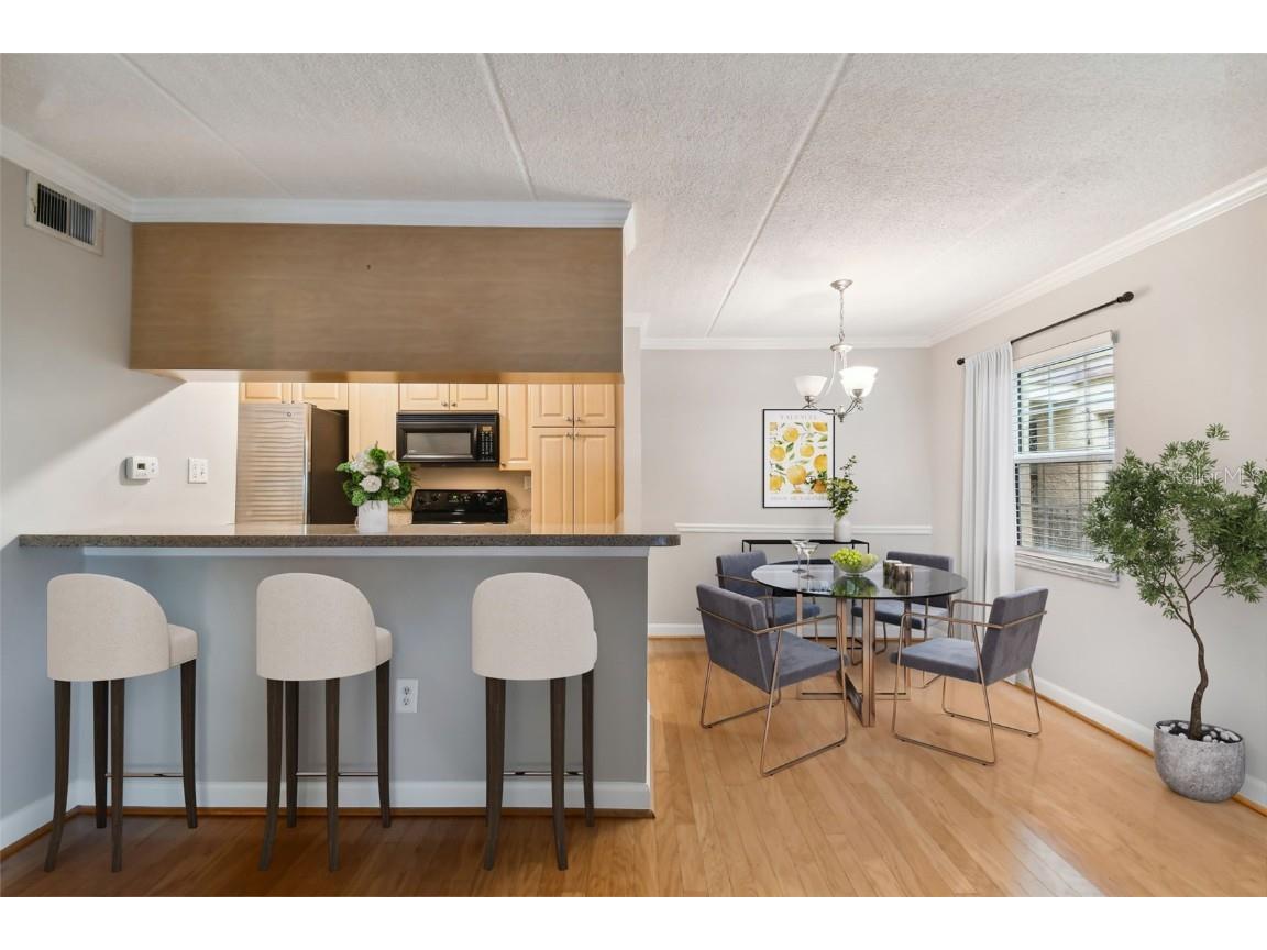 5306 Santa Rosa Court #342 Tampa FL 33609 T3536209 image11