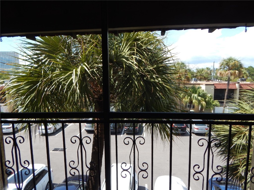 5306 Santa Rosa Court #342 Tampa FL 33609 T3536209 image23