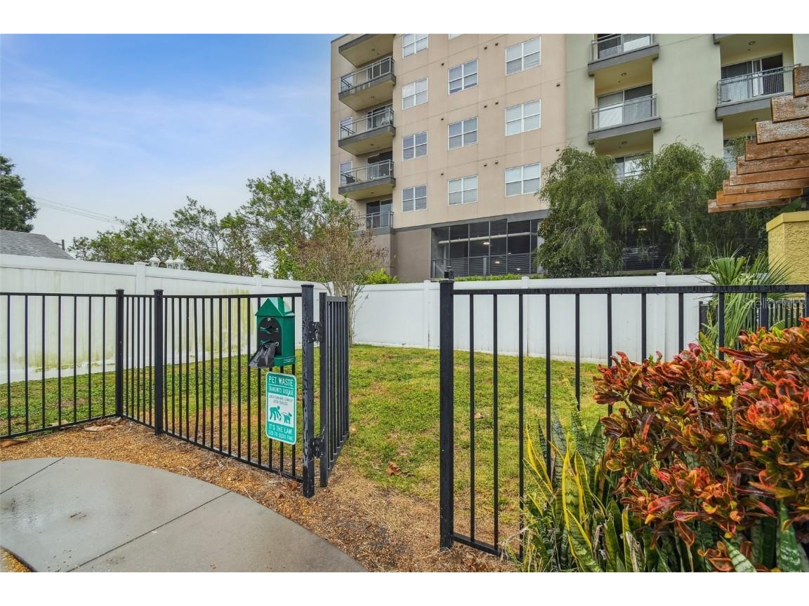 5306 Santa Rosa Court #342 Tampa FL 33609 T3536209 image35